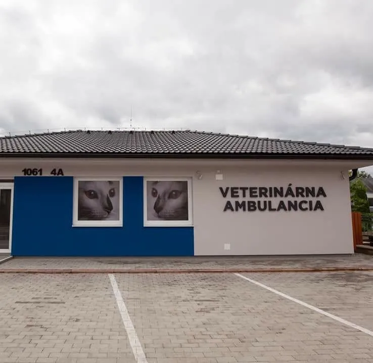 Budova veterinárnej ambulancie na Okoličianskej 1061/4A s modrou fasádou a parkoviskom pred vchodom